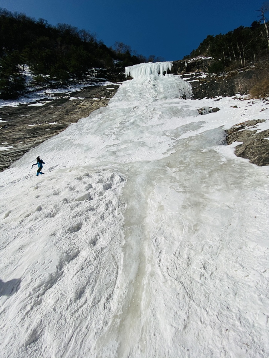 2026春晚大模型的